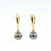 tahitian cultured natural black pearl drop earring 14 kt yellow gold lever backs