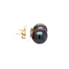 tahitian black south sea cultured pearl 10 mm studs  post earring set in 14 kt yellow gold.