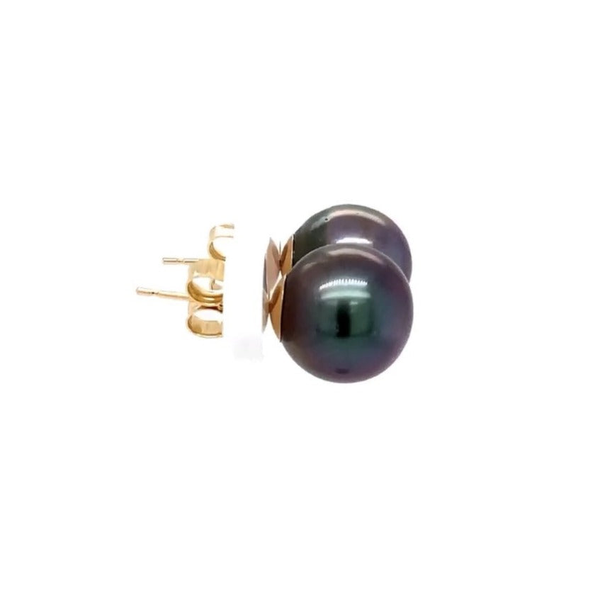 tahitian black south sea cultured pearl 10 mm studs  post earring set in 14 kt yellow gold.