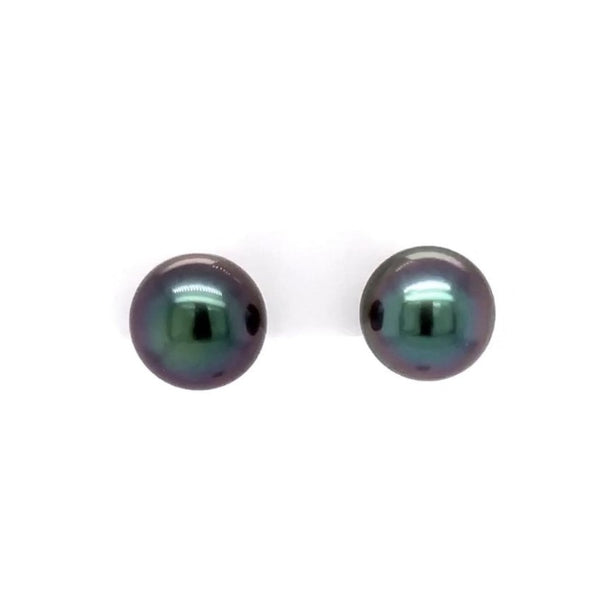 tahitian black south sea cultured pearl 10 mm studs  post earring set in 14 kt yellow gold.
