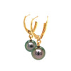 tahitian cultured natural black pearl drop earring 14 kt yellow gold lever backs