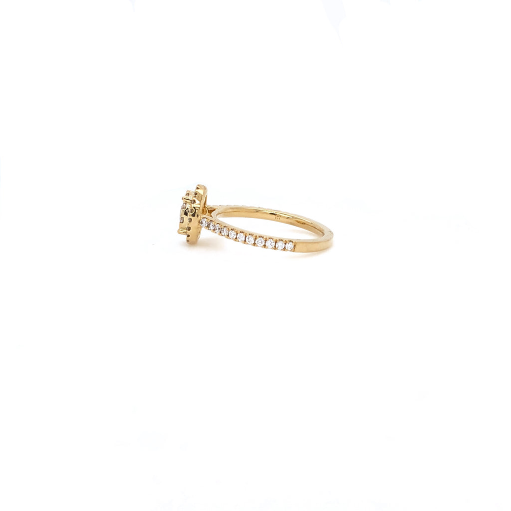 18K Yellow Gold Memoire Bouquet Round Halo Engagement Ring with Diamond Shank 52 Round brilliant diamonds equals to .71ctw | Blacy's Vault