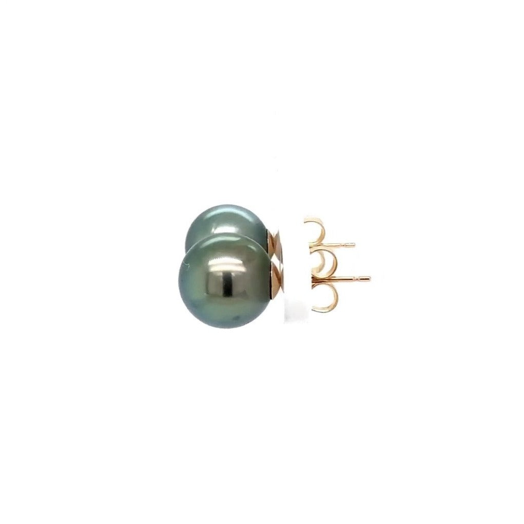 tahitian black south sea cultured pearl 9.8 mm studs  post earring set in 14 kt yellow gold.